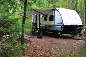 Camper Trailer summer trees