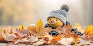 autumn-savings